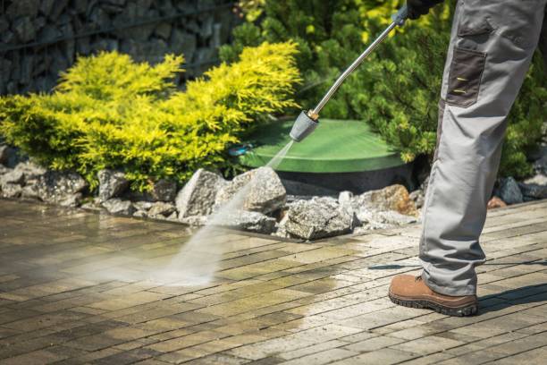 Best Boat and Dock Cleaning  in Tonganoxie, KS